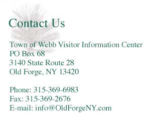 contact us
