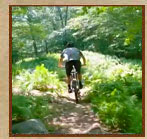 McCauley Mountain