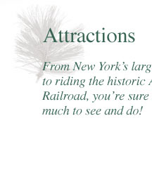 attractions