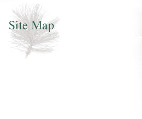 sitemap
