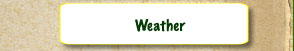 weather
