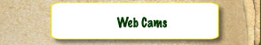 Web Cams
