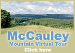 Virtual Tour