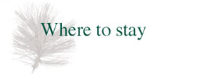 where to stay