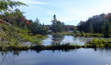 Moose River in the winter